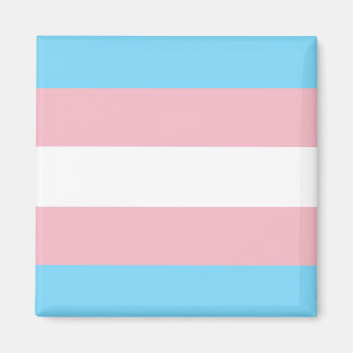 Trans-Pride-Markierung Magnet