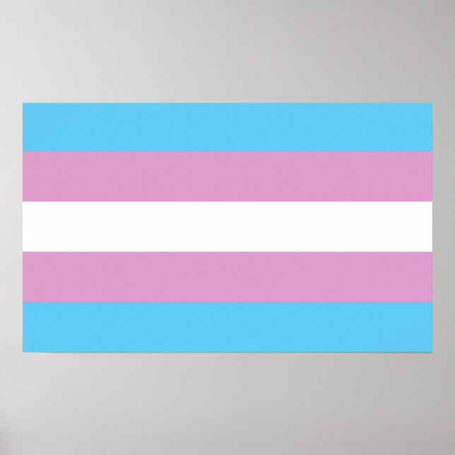 Trans-Pride-Markierung Poster (Vorne)