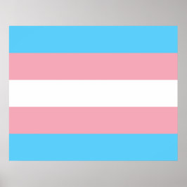 Trans Pride (Transgender Pride) Flag Poster