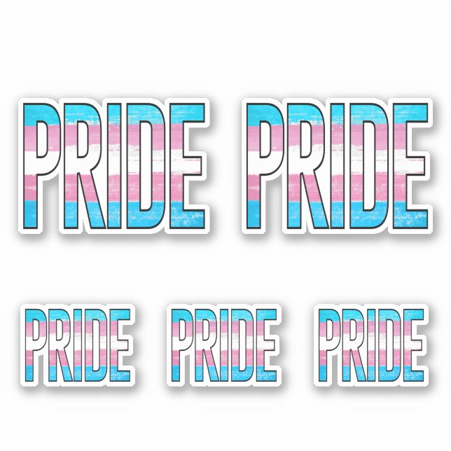 Trans Pride Word Aufkleber (Vorderseite)