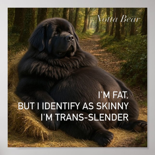 Trans-schlank  poster (Vorne)