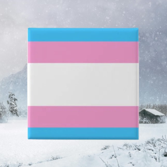 Trans-Stolz-Anstecknadel Button (Von Creator hochgeladen)