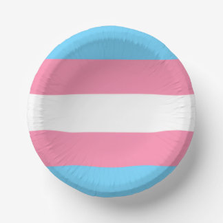 trans Tellerpartydekoration Pappteller