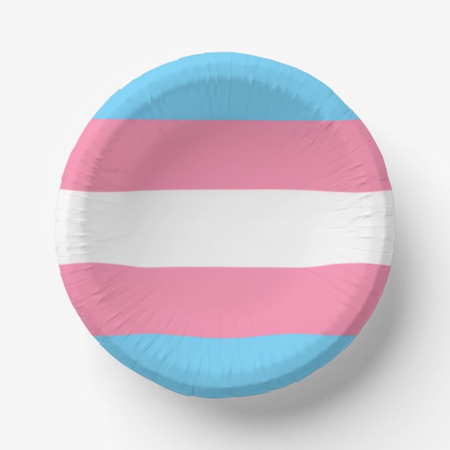 trans Tellerpartydekoration Pappteller (Vorderseite)