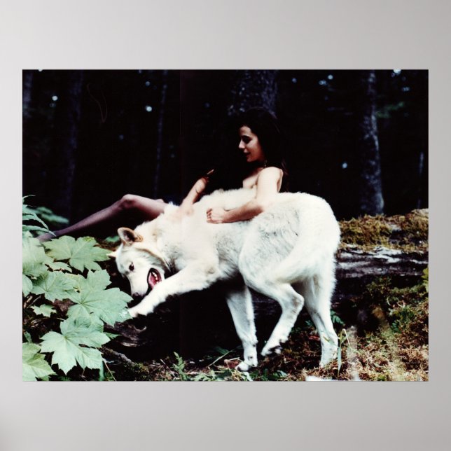 Transformation Poster (Vorne)