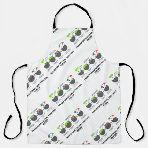 Transformationsprozess-Inside-Enzymsubstrat Schürze