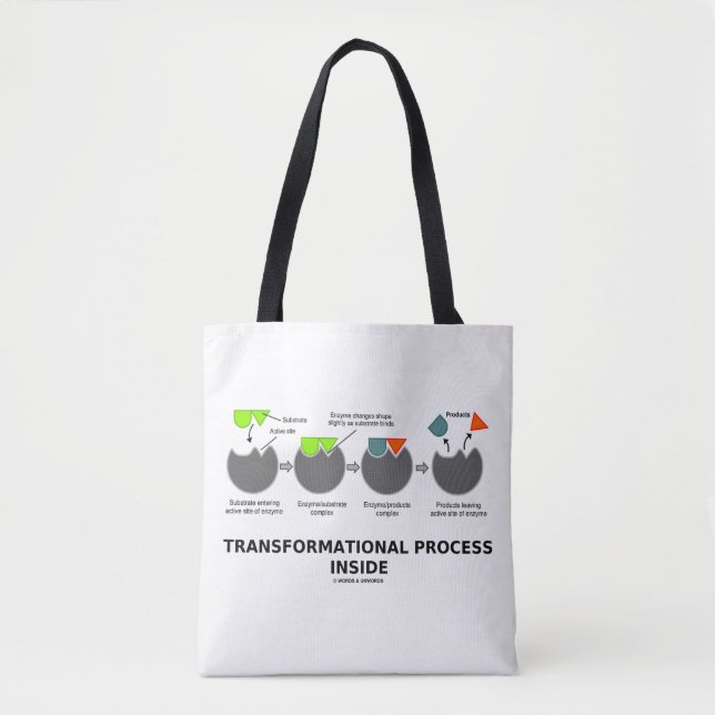 Transformationsprozess-Inside-Enzymsubstrat Tasche (Vorderseite)