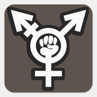 Transgender-Aufkleber-Set Quadratischer Aufkleber