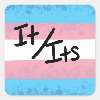 Transgender Es/seine Pronomen Aufkleber