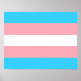 Transgender Flag Print, Value Poster Paper (Matte)