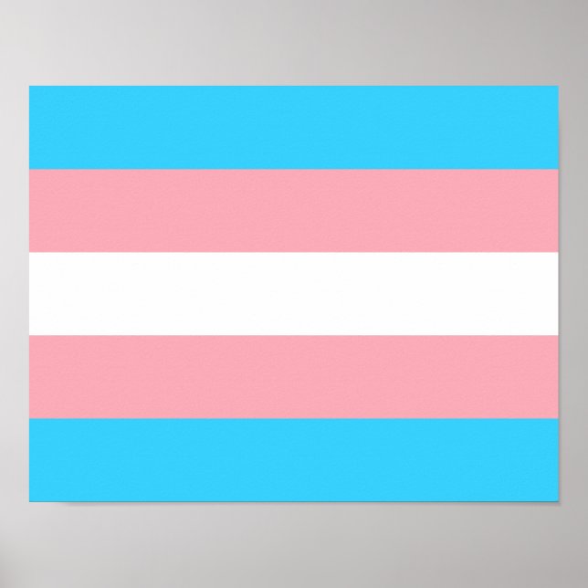 Transgender Flag Print, Value Poster Paper (Matte) (Vorne)