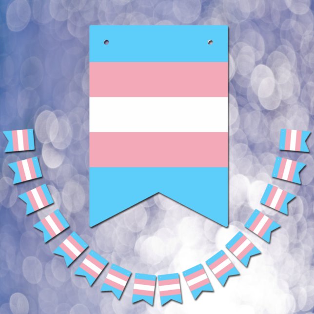 Transgender-Flag & Prix-Community/Geschlechterflag Wimpelkette (Von Creator hochgeladen)