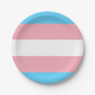 Transgender Flagge Pappteller