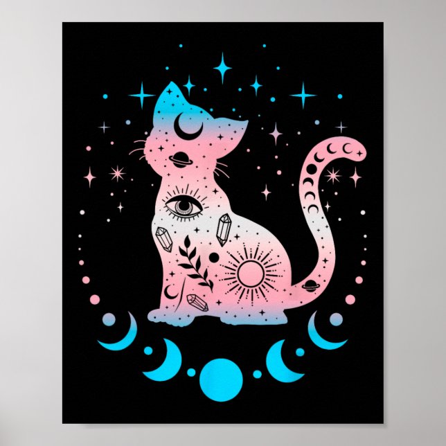Transgender Pride Flag Colors Cat Lovers Poster (Vorne)