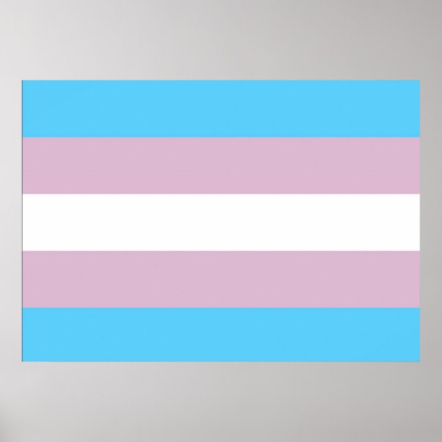 Transgender-Pride-Flag-Plakat Poster (Vorne)
