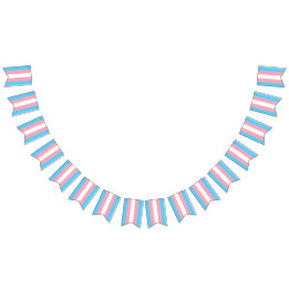 Transgender-Pride-Flag Wimpelkette