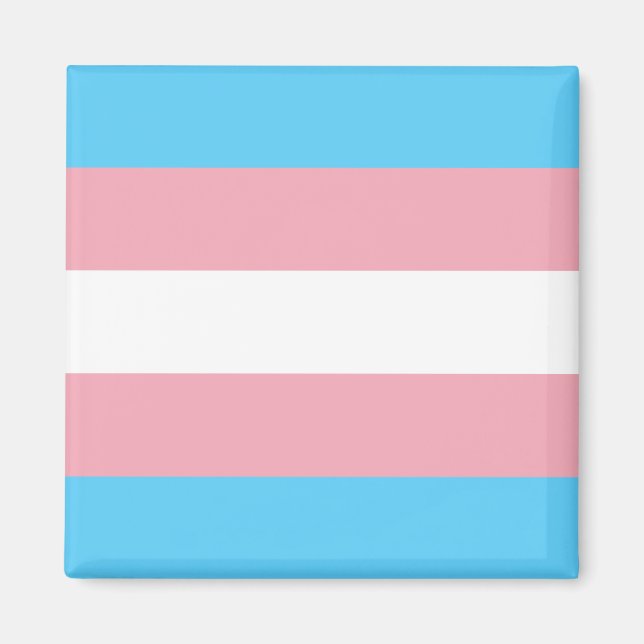 Transgender Pride Magnet (Vorne)