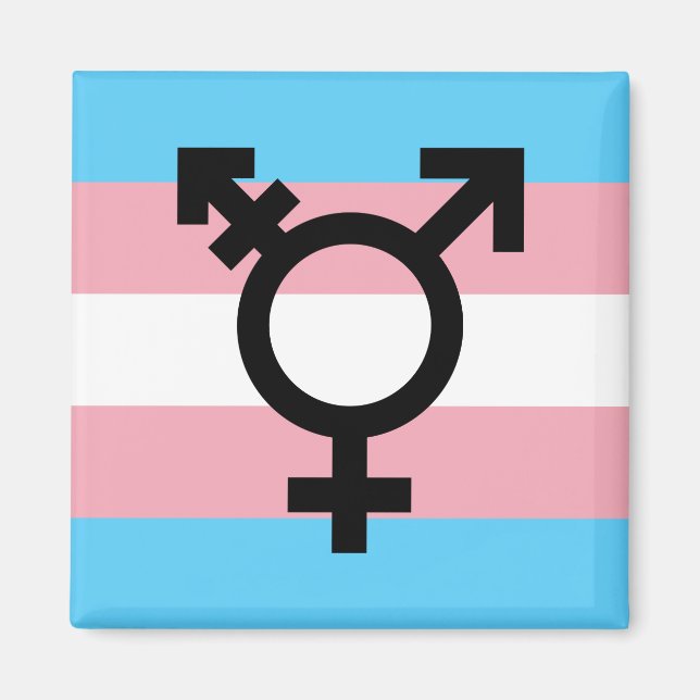 Transgender Pride Magnet (Vorne)