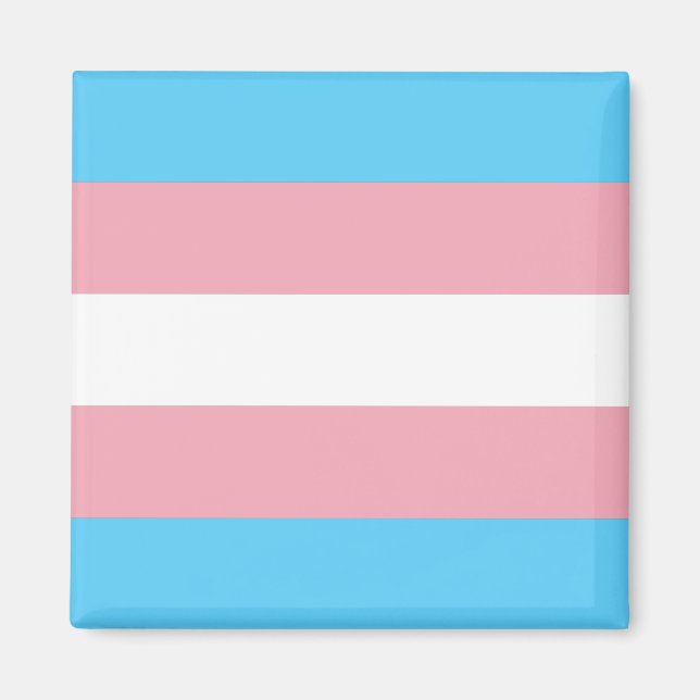 Transgender-Pride-Markierung Magnet (Vorne)
