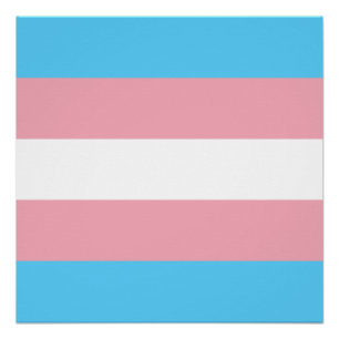 Transgender-Pride-Markierung Poster