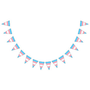 Transgender-Pride-Markierung Wimpelkette