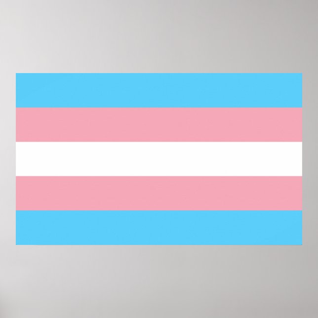 Transgender Prilag - LGBT-Regenbogen Poster (Vorne)