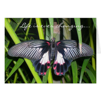 Transition, Changement de vie