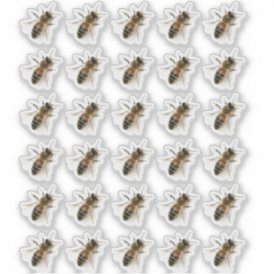 Transparente Crawling Honeybee Foto Sticker