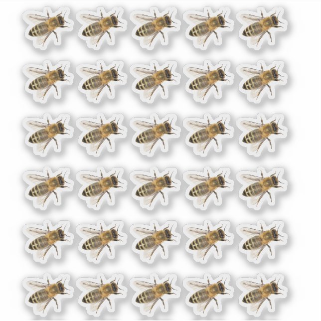 Transparente Crawling Honeybees Realistischer Stic Aufkleber (Vorderseite)