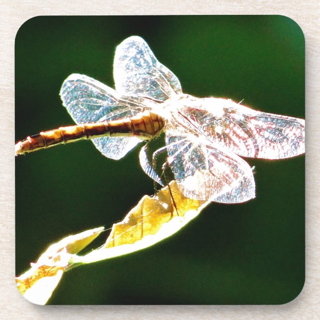 Transparente Libelle Untersetzer (Vorderseite)