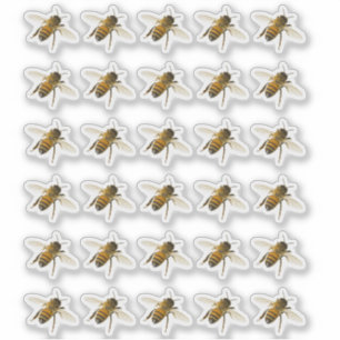 Transparente oder weiße, realistische Honigbiene i Aufkleber