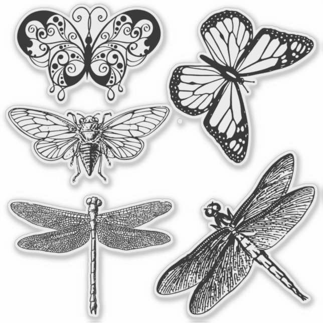 Transparente Sticker für fliegende Insekten (Vorderseite)
