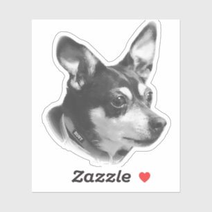 Transparenter Ruby Sticker !!