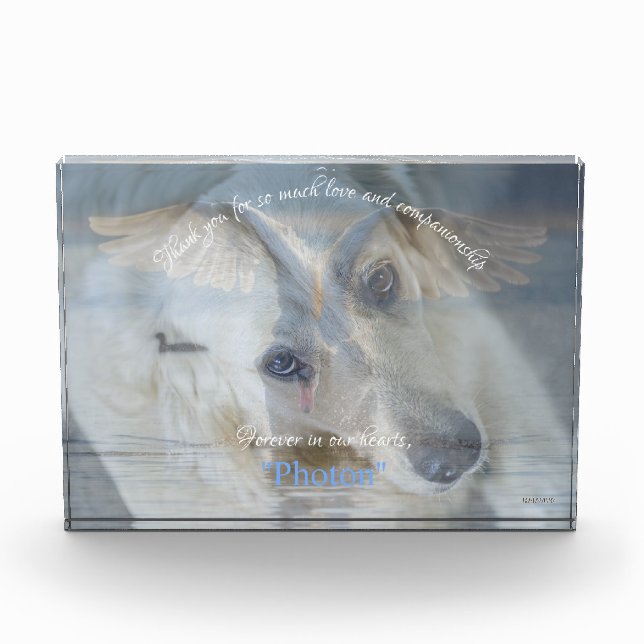 Transparentes Image-Overlay-Acrylic-Foto schwenken Fotoblock (Vorderseite)