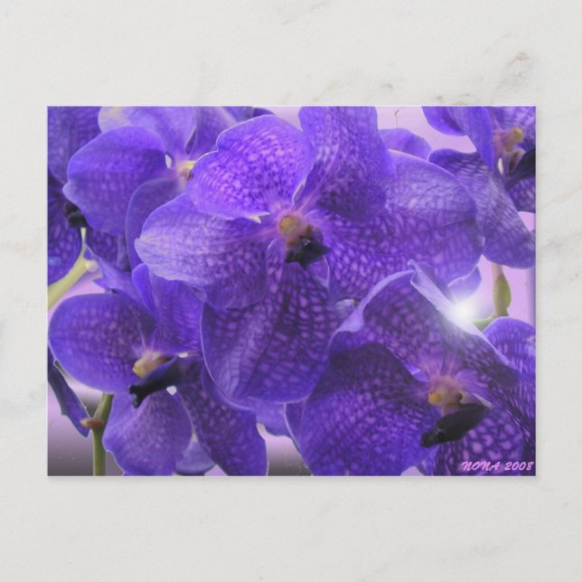 TRANSPARENZ POSTKARTE (Vorderseite)