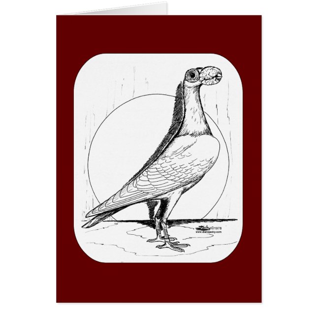 Transporteur anglais Pigeon 1978 (Devant)