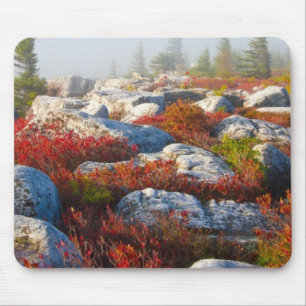 Transportwagen-Grasscholle-Wildnis-Fall Mousepad