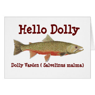 Transportwagen Varden Karte