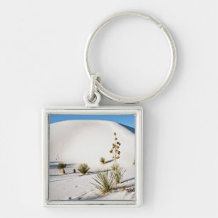 Transverse Dunen und Soaptree Yucca Schlüsselanhänger