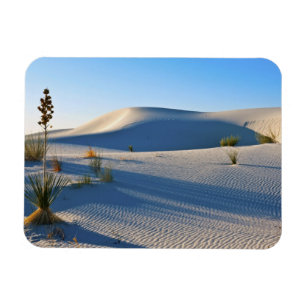 Transverse Dunes, Yucca, Early Morning Light Magnet