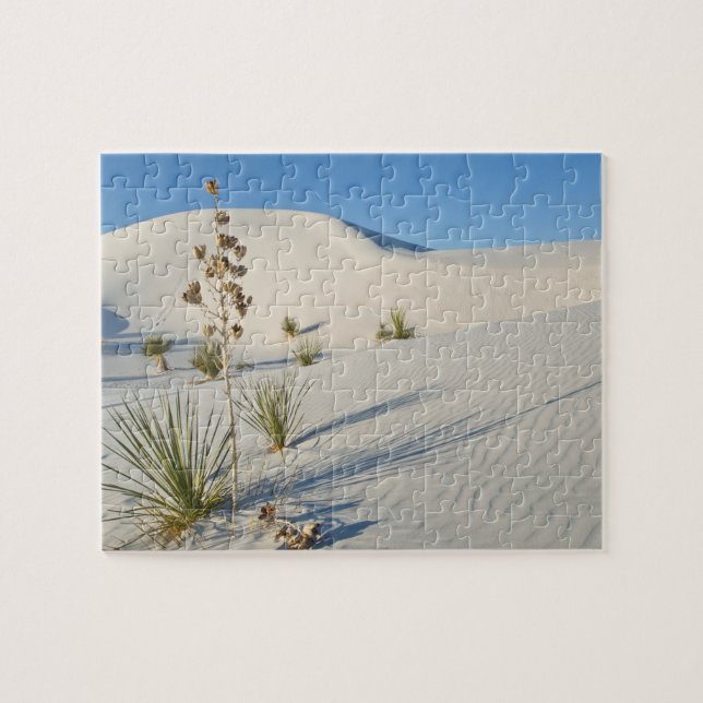 Transverse Dunes, Yucca, Schatten (Horizontal)