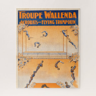 Trapez, Akrobaten und Flying Trampolin