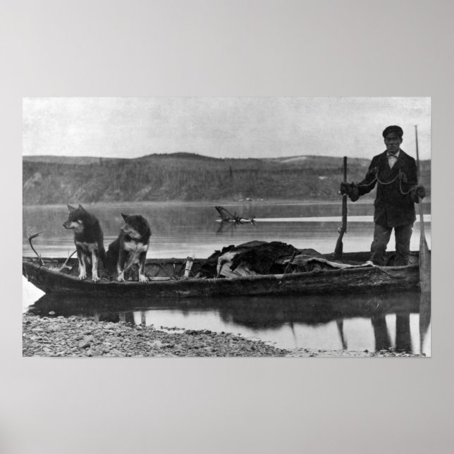 Trapper in Kanu mit Hunden und Hunden Alaska Poster (Vorne)