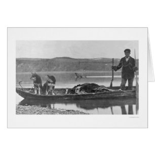 Trapper mit Fellen u. Hunden Alaska 1906
