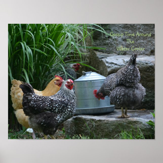 Tratsch um das Wasser Cooler Poster (Vorne)