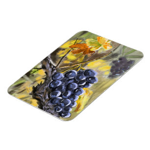 Trauben am Weinstock, Provence. Magnet