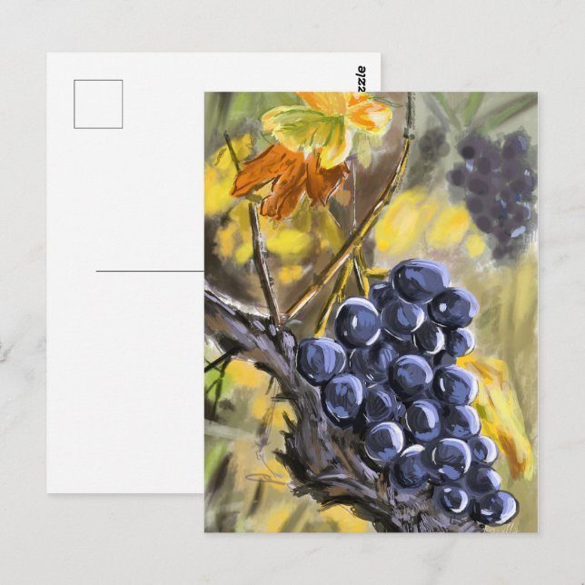 Trauben am Weinstock, Provence. Postkarte (Vorne/Hinten)