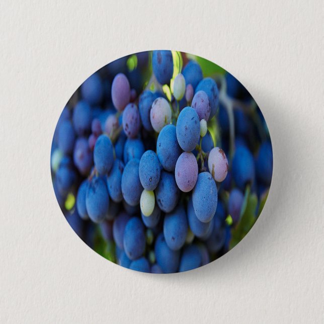 Trauben Button (Vorderseite)