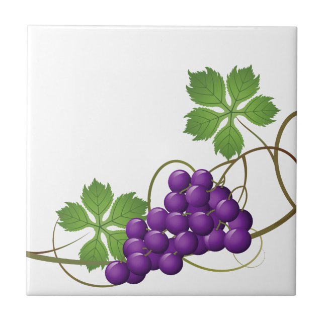 Trauben Druckfolie Fliese (Vorderseite)