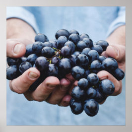 Trauben/Feinschmecker-Küchenplakat Poster